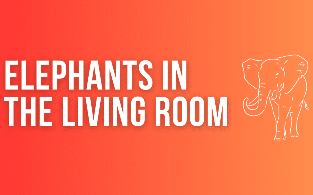 Elephants in the Living Room: The Synod, November 9, 2023